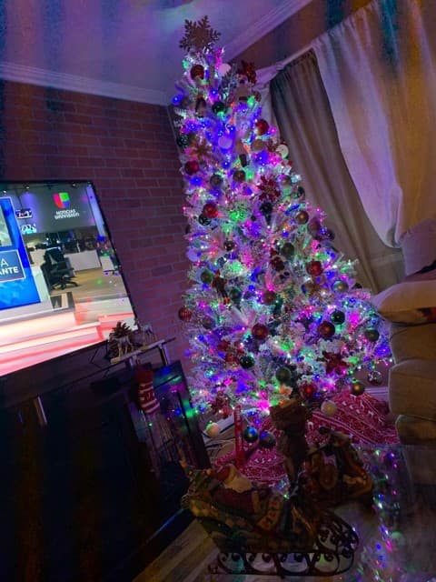 En Redwood City, la familia Barajas nos compartió una foto de su arbolito navideño color blanco, y al lado está Santa Claus en un trineo.