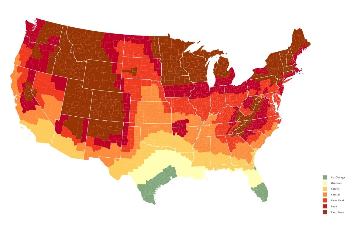 <b>SEMANA DEL 18 DE OCTUBRE</b>: La porción central y noroeste del estado está en el pico de la temporada. Es perfecto para hacer un viaje por carreteras.