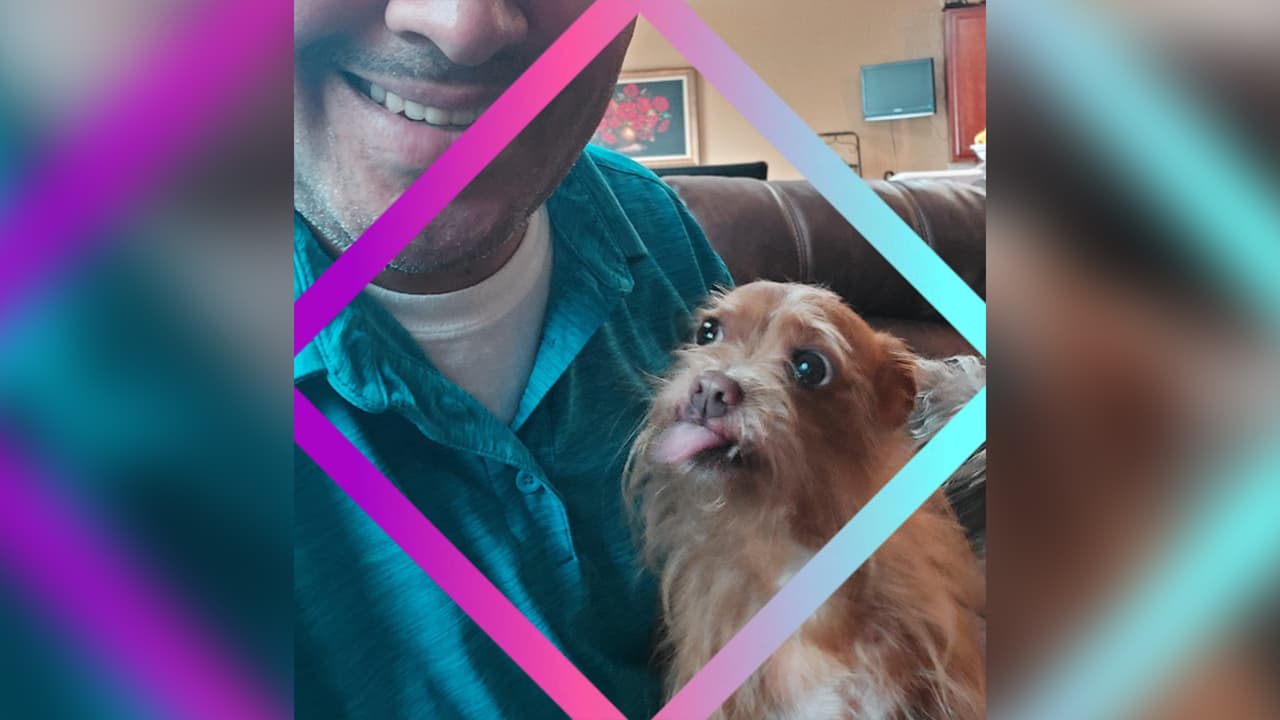 <b>Jose Gavidia Alvarado</b>: Pacho es un chihuahua mezclado. Le gusta mucho que le rasque las orejas.