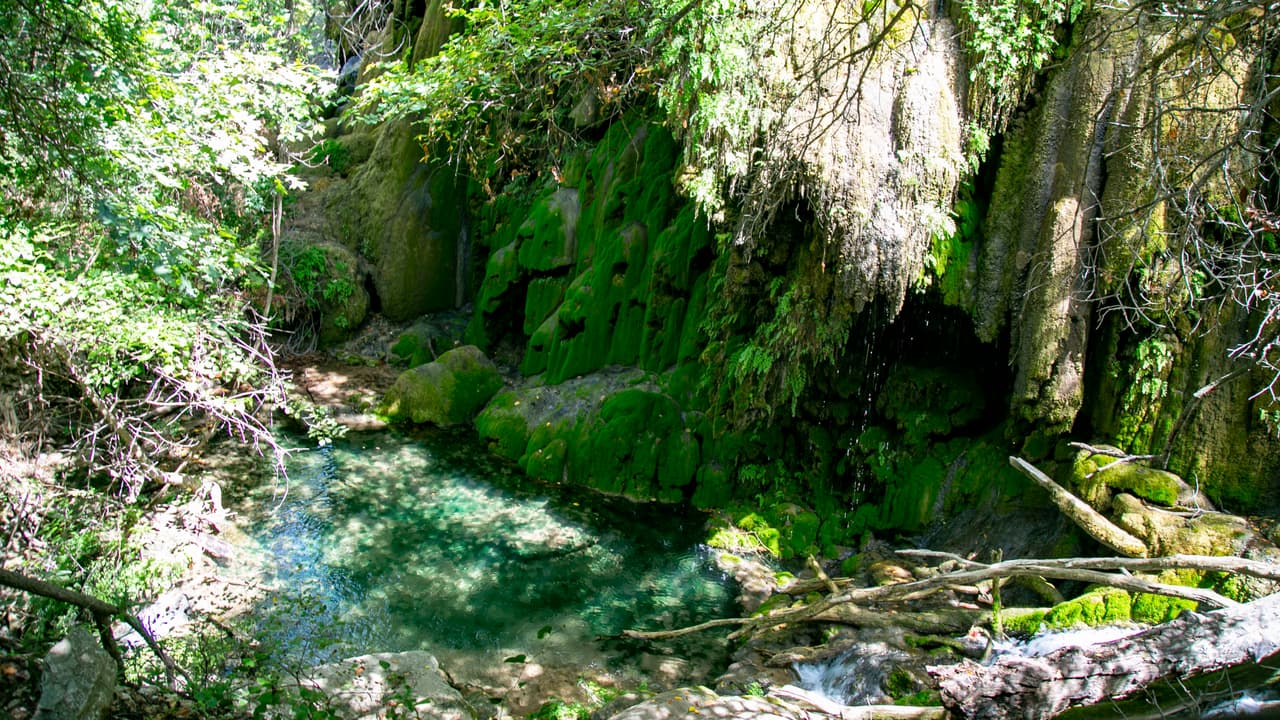 Así que si visitara el área, recuerde mantener sus precauciones para evitar contagios con el coronavirus.