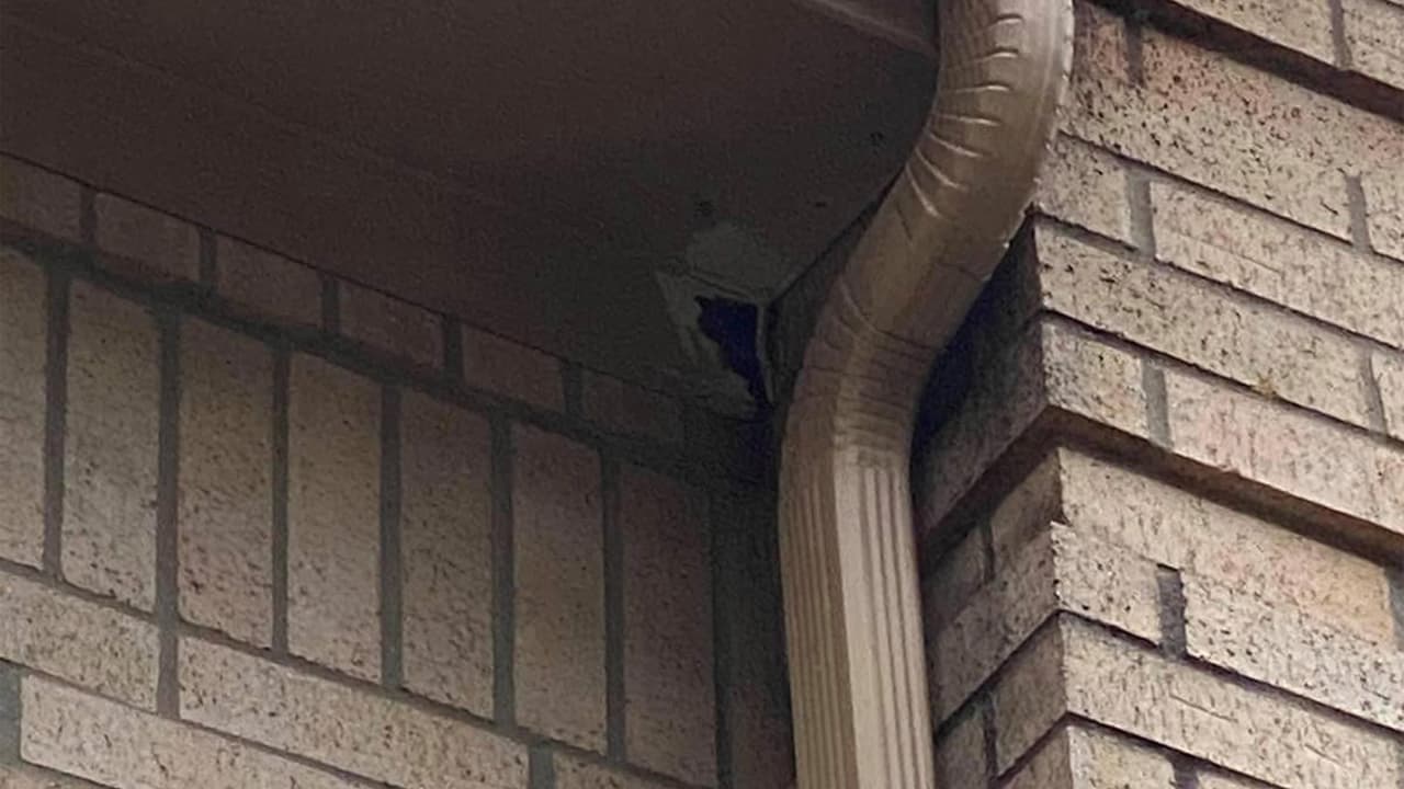 Llevaron a las abejas y los panales a una granja agrícola incluyendo la abeja reina. En total fueron más de 12 horas de trabajo.