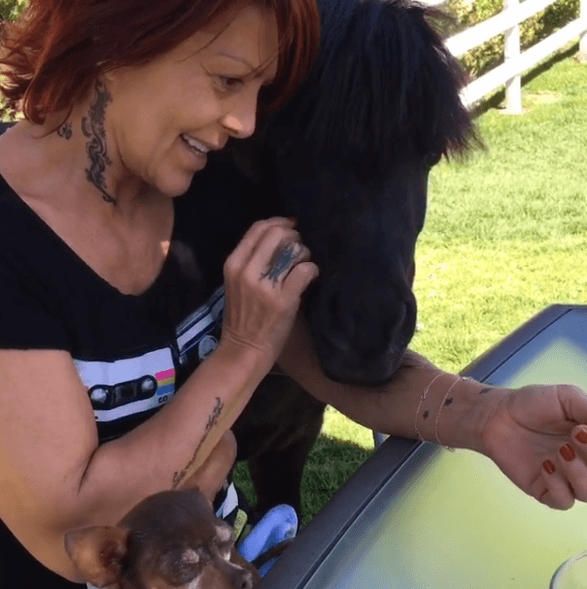 Así vimos esta semana a Alejandra Guzmán en sus redes. Súper linda y cariñosa con su yegua que se llama Vynil y su linda chihuahua, Chatita.