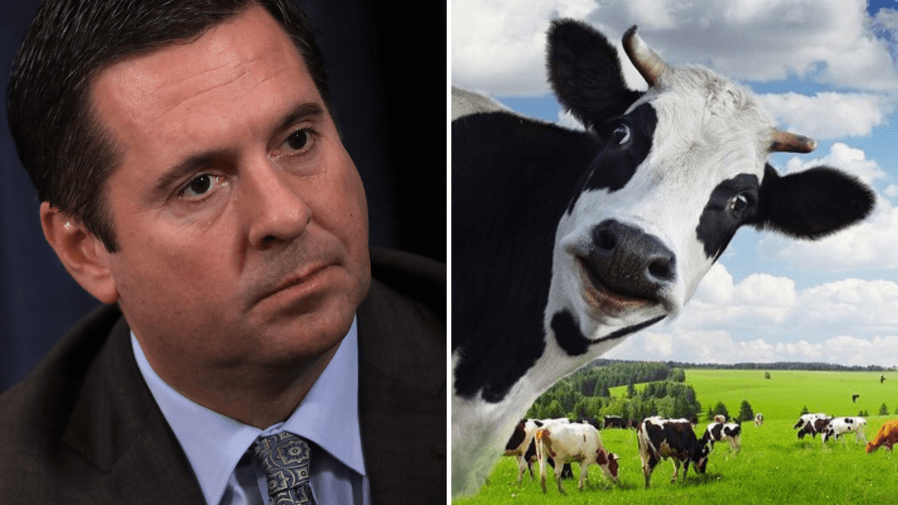 El congresista Devin Nunes pierde la demanda contra Twitter por la cuenta de una "vaca" que lo parodia