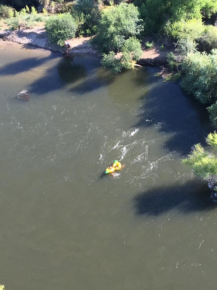 Operación de búsqueda