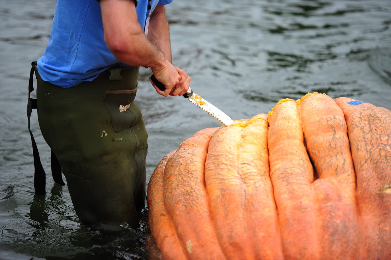 Los participantes se esforzaron muchísimo, pero algunos tuvieron que desistir después de que su calabaza se llenara de agua, sin embargo después de todo el evento resultó muy divertido para todo el mundo y unió a las familias de los agricultores.