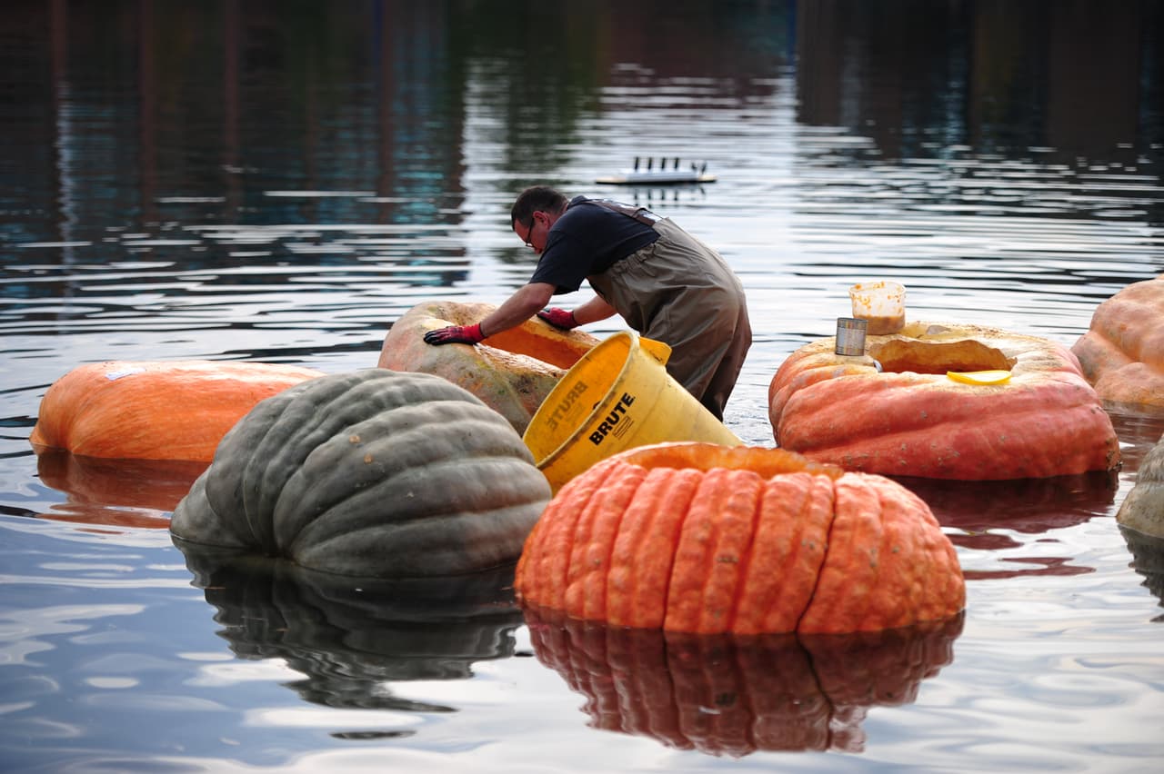 Esta carrera formó parte del festival anual número 12 de la calabaza gigante de la costa oeste en Regata, Tualatin, Oregon, en el cuál además se llevaron a cabo partidos de golf, manualidades, y otras actividades para toda la familia.