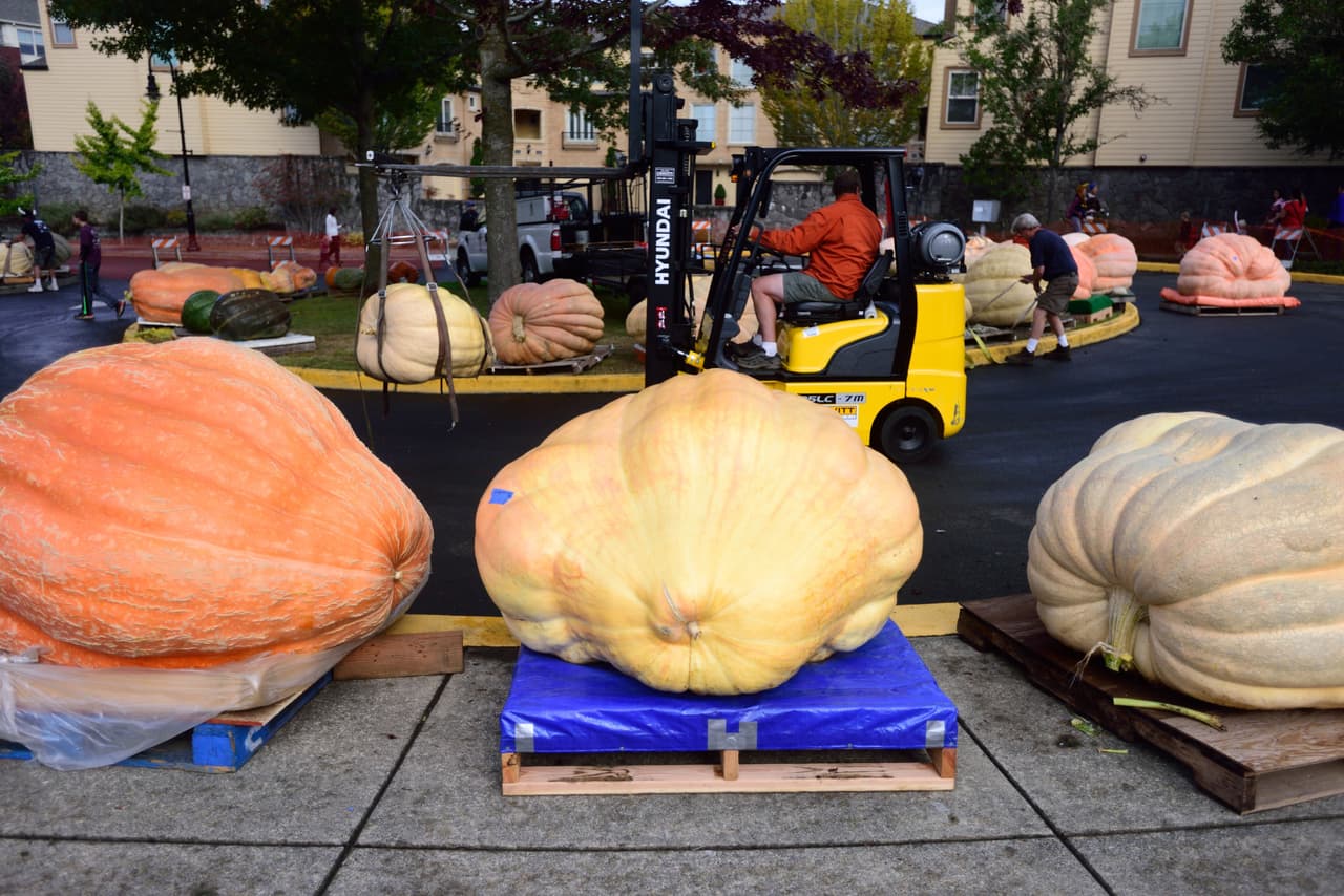 Los participantes se esforzaron muchísimo, pero algunos tuvieron que desistir después de que su calabaza se llenara de agua, sin embargo después de todo el evento resultó muy divertido para todo el mundo y unió a las familias de los agricultores.