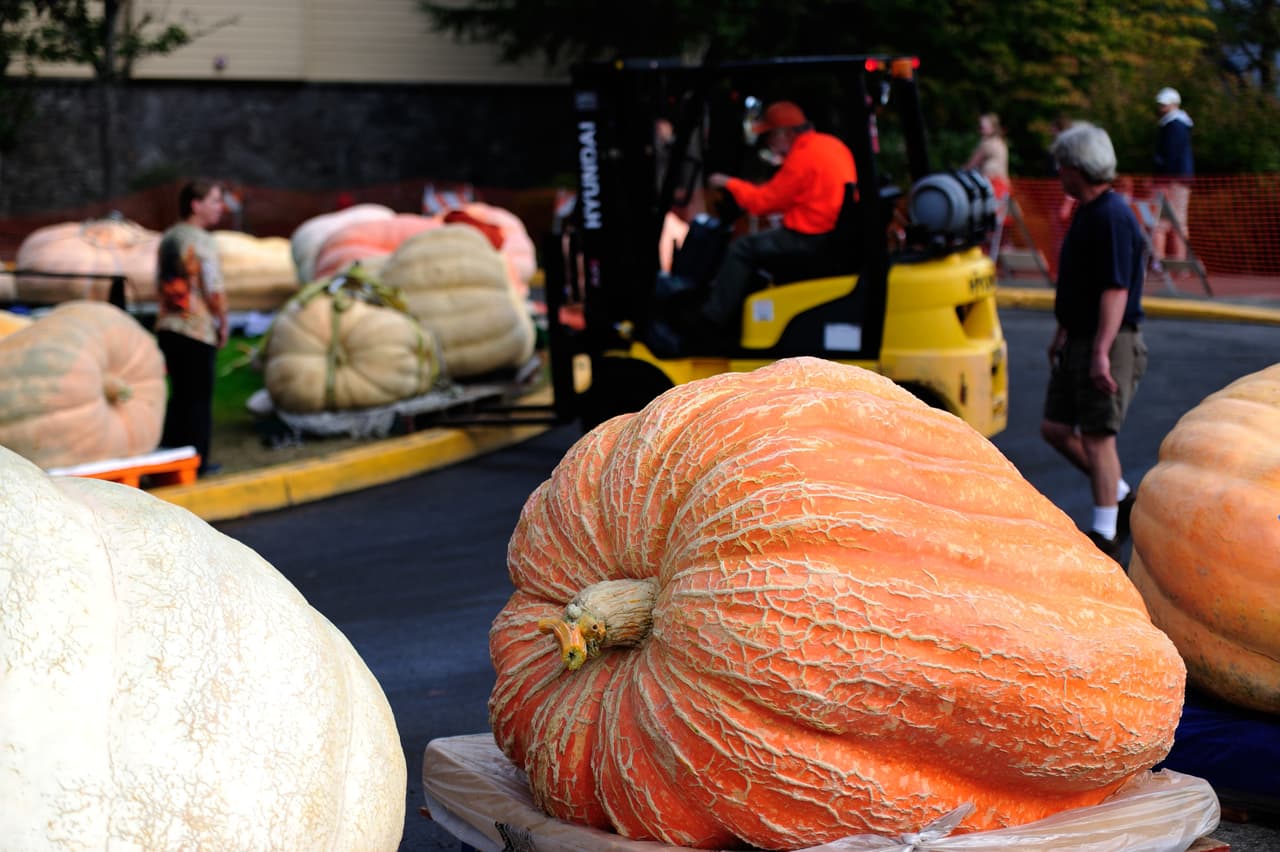 Los participantes se esforzaron muchísimo, pero algunos tuvieron que desistir después de que su calabaza se llenara de agua, sin embargo después de todo el evento resultó muy divertido para todo el mundo y unió a las familias de los agricultores.