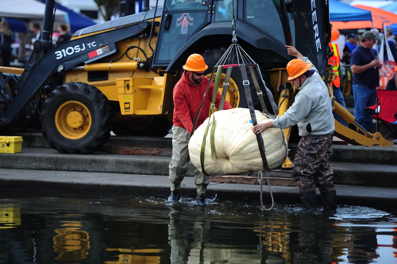 Las calabazas fueron pesadas una tras otra por la Asociación de Productores de verduras gigante del Pacífico y la más pesada marcó 1,794.5 libras en la bascula.