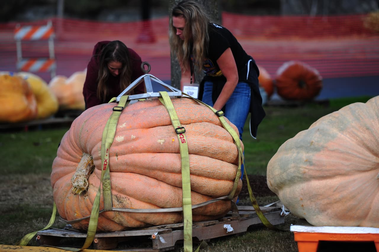 Los participantes se esforzaron muchísimo, pero algunos tuvieron que desistir después de que su calabaza se llenara de agua, sin embargo después de todo el evento resultó muy divertido para todo el mundo y unió a las familias de los agricultores.