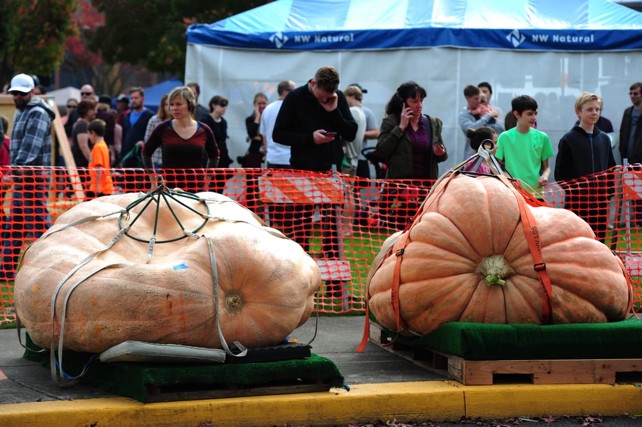 "Las calabazas no son muy aerodinámicas en el agua", dijo Nelson, refiriéndose al difícil reto que enfrentó.