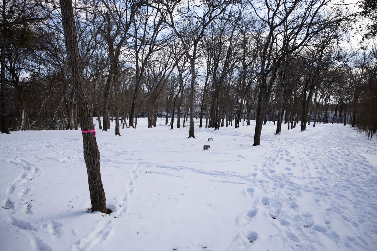 Austin registró 6.1 pulgadas de nieve y rompió el récord establecido en 1951.