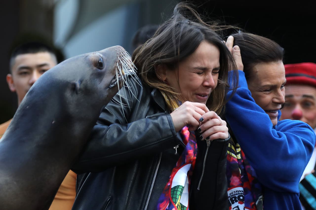 Y después de los besos, la expresión de este león marino estremeció a las representantes del principado de Mónaco, que no tiene intención de prohibir los espectáculos con animales.