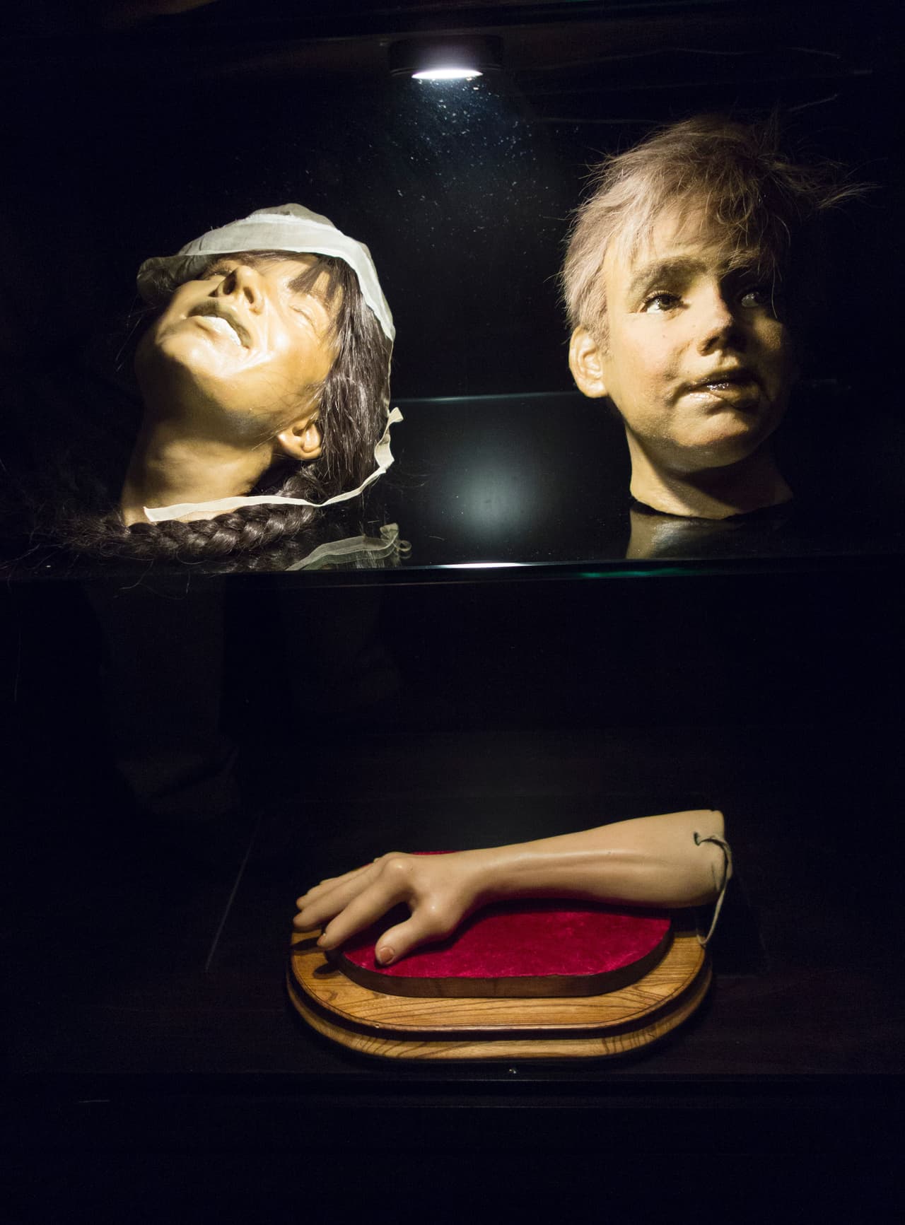 La exhibición está dividida en varios temas, expuestos en distintos espacios del bar.