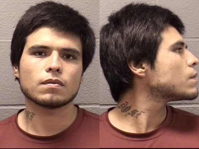 Fianza de 200 mil dólares a residente de Elgin por presuntamente golpear y quemar a perrita 