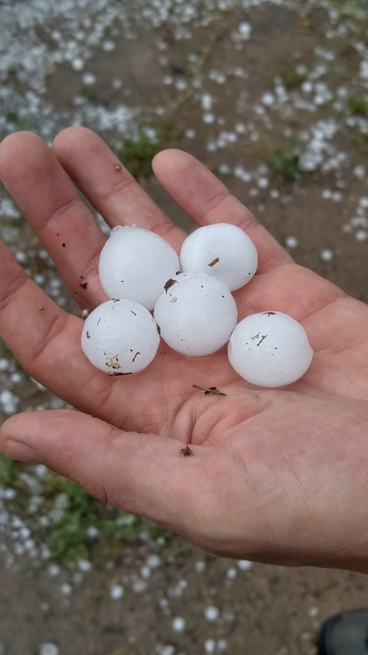 Piedras de granizo que cayeron con la tormenta