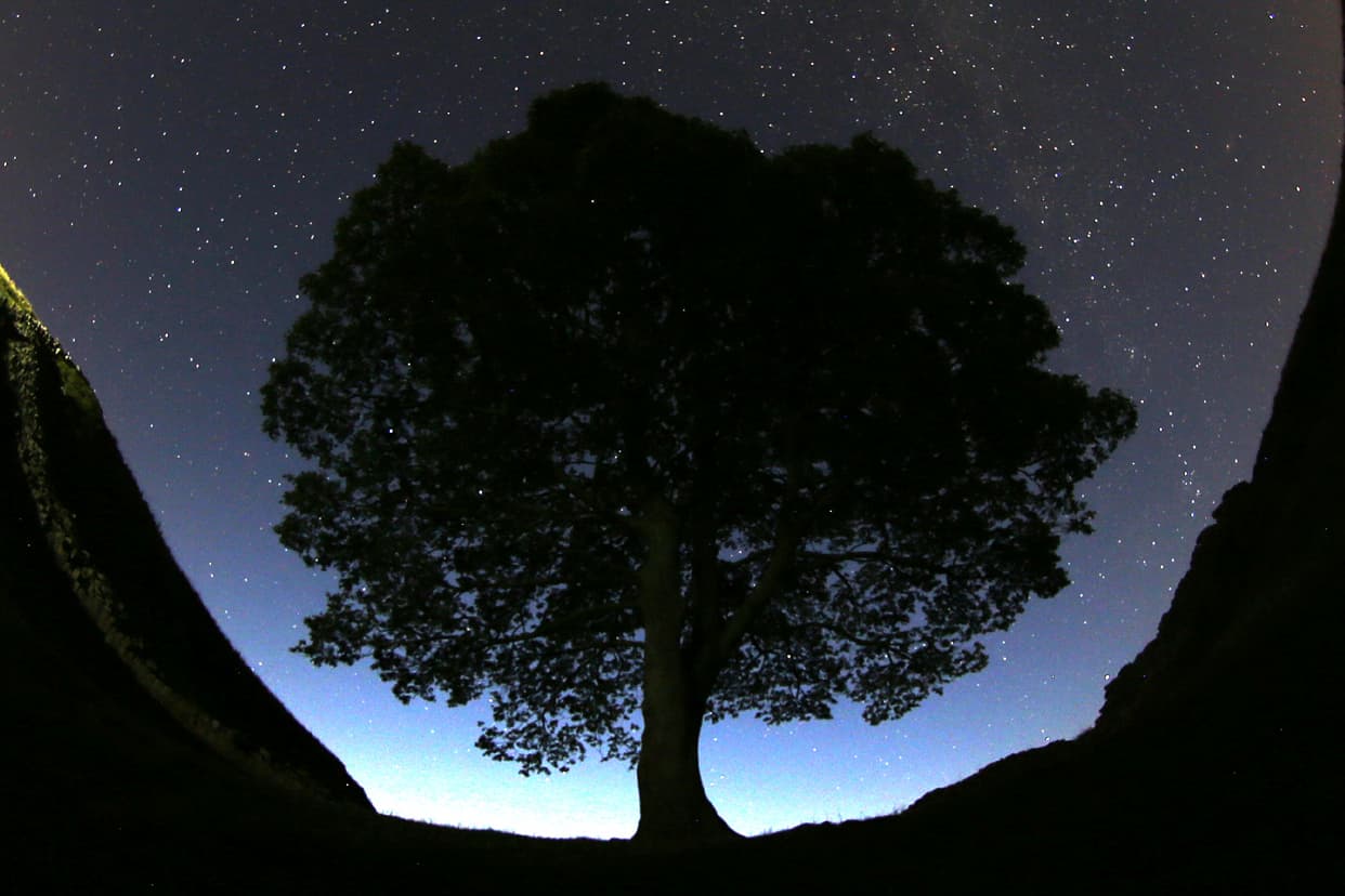 Los expertos afirman que, bajo cielos despejados y oscuros, 
<b>los observadores podrían ver aproximadamente 50 meteoros por hora</b>, aunque las estimaciones varían según las condiciones de observación y la ubicación.