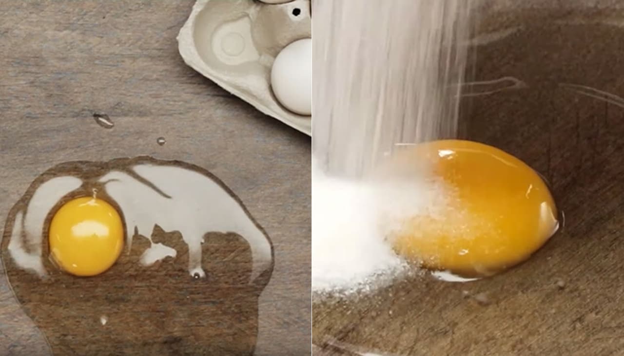 Derrubou um ovo? Existe um truque com sal para limpar de forma mais fácil 