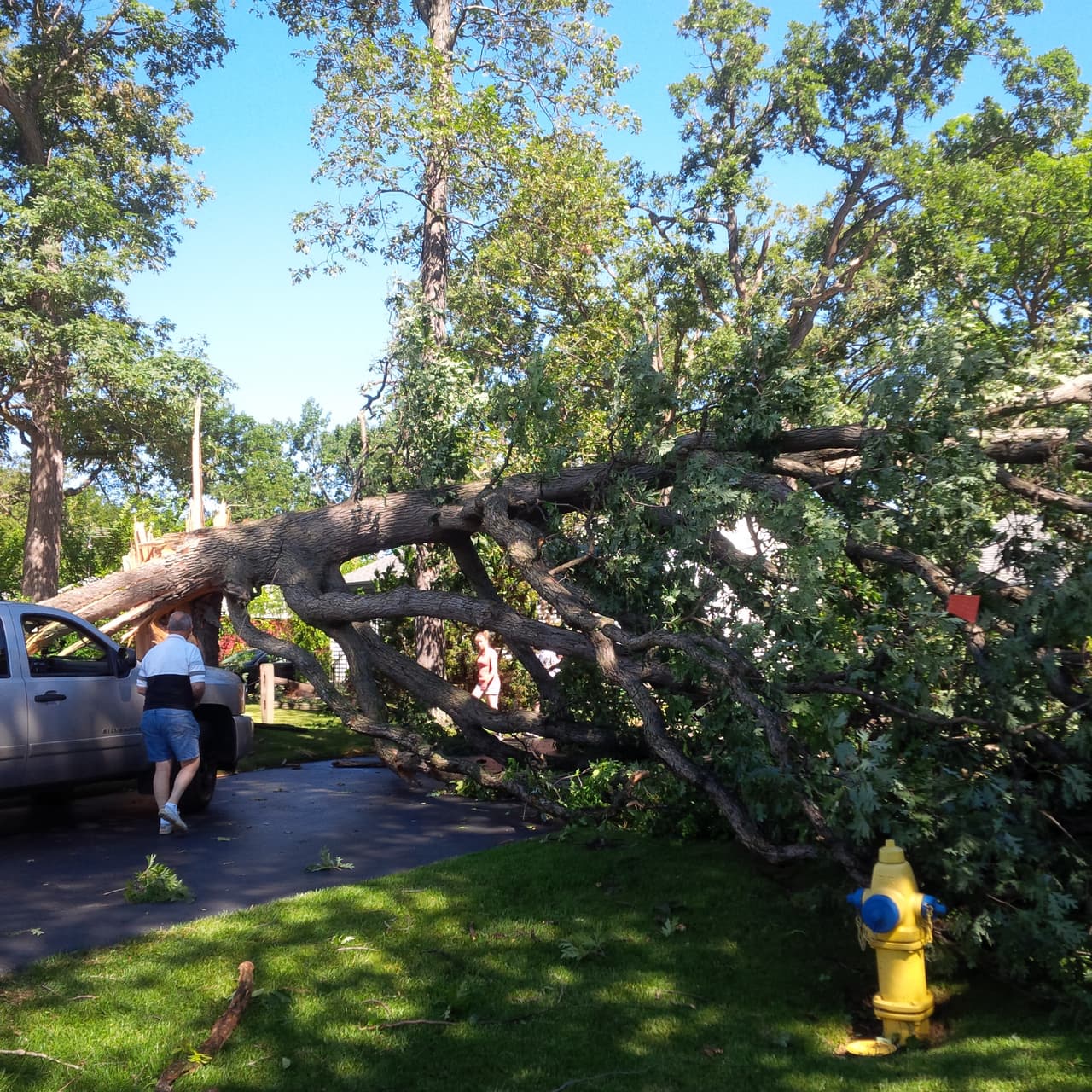 Mira las imágenes de los destrozos que causó un tornado a su paso por el suburbio de Grayslake, Chicago.