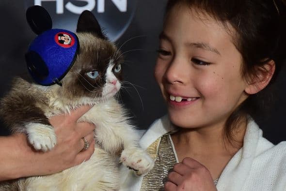 Una celebridad arizonense captó la atención de las cámaras durante la alfombra roja del estreno de la película de Disney "Cinderella". Sin embargo, no se trata de un actor, músico o atleta, sino del famoso Grumpy Cat, quien cautivó a más de uno con su carita de enojado. Hasta los cineastas de "Frozen" se tomaron una foto con el felino. Aunque parece molesto, al parecer al gatico le gustan las cámaras porque estuvo muy tranquilo mientras explotaban las luces de los fotógrafos.