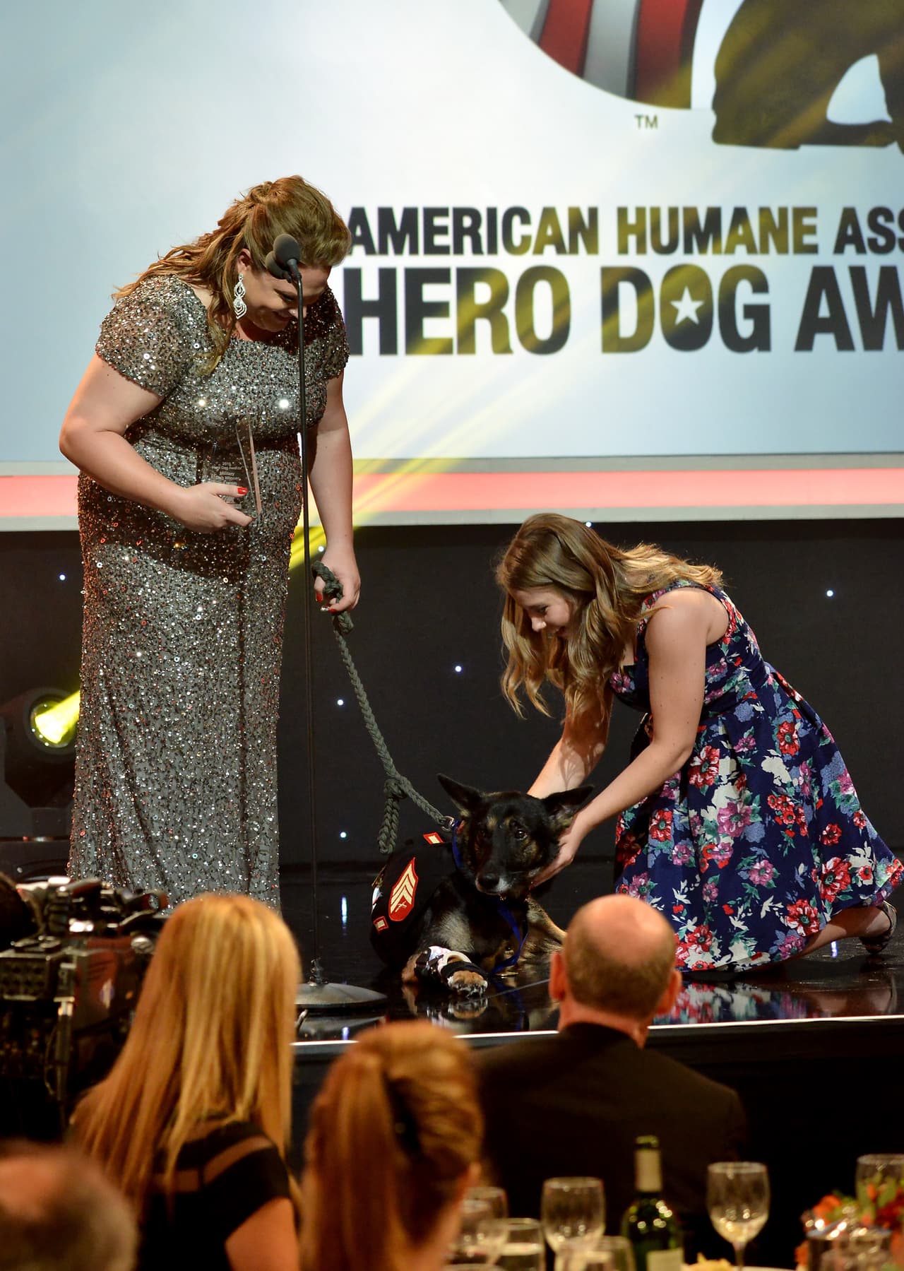 Rambo condujo 994 horas de entrenamiento y 622 misiones. Se retiró del servicio debido a una herida en su hombro izquierdo y le amputaron esa pata debido a que le causaba molestias.