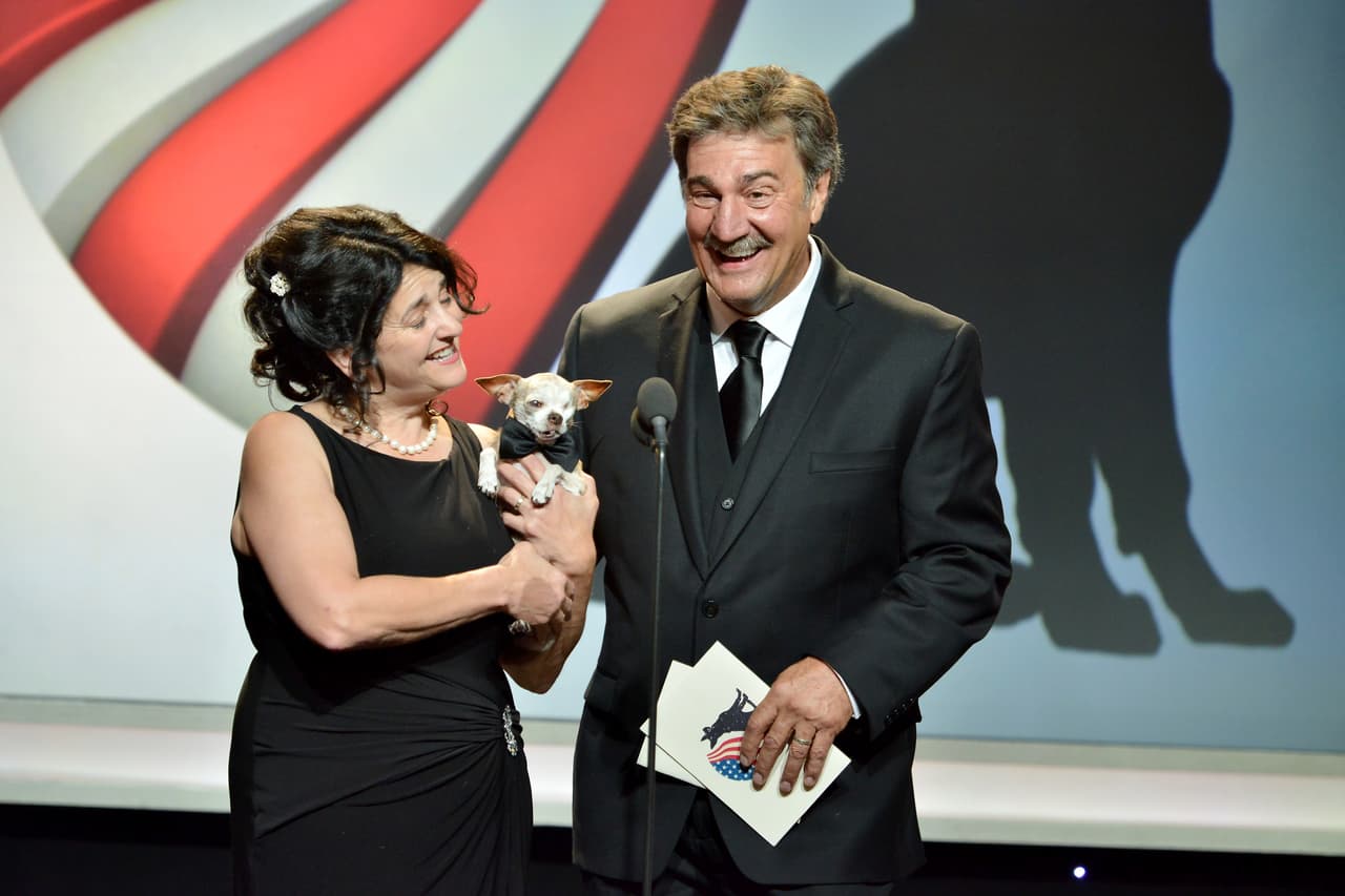 Ganó en la categoría “Emerging Hero Dogs”.