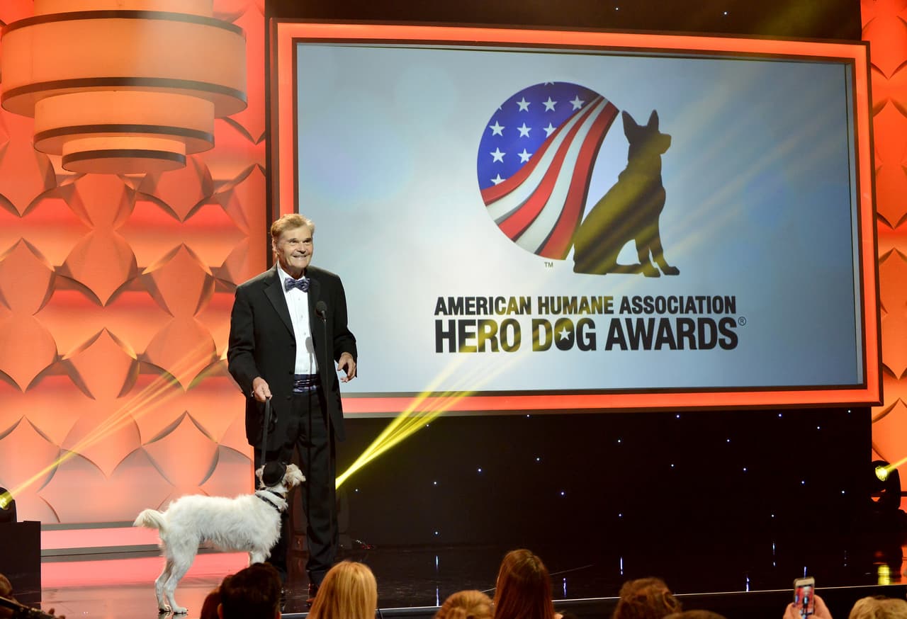 Cada uno de estos canes realizó acciones heroicas, premiadas por The American Humane Association.