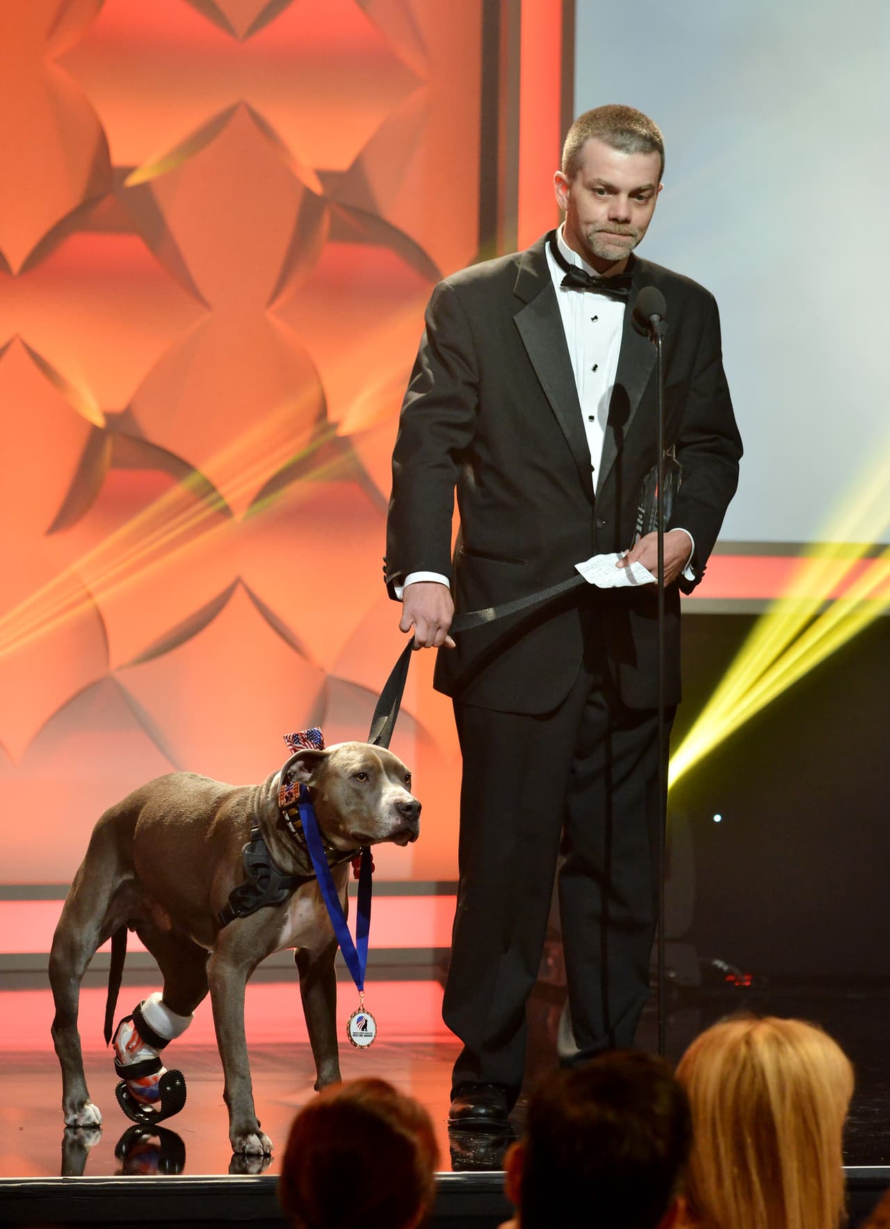 Conoce a estos héroes de cuatro patitas y conmuévete con sus historias.