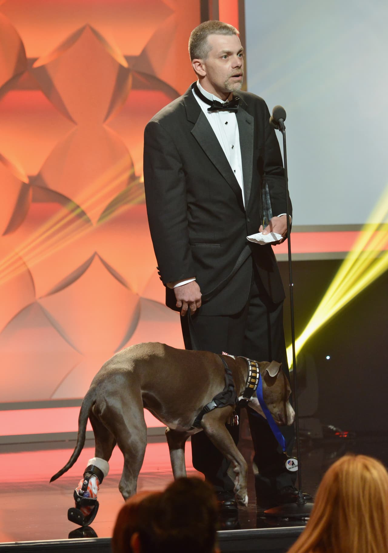 Hudson es uno de los tres hermanos conocidos como 'Railroad Puppies', pues fueron encontrados en las vías del tren, seriamente heridos. Lamentablemente uno de ellos falleció y a él le tuvieron que amputar su patita, debido a las heridas.