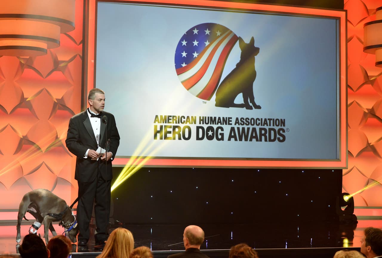 Sin embargo, se recuperó y notaron lo amable que era. Desde entonces se convirtió en un perro de terapia que visita escuelas, hospitales y hospicios para levantar el ánimo de las personas. Ganó en la categoría “Therapy Dogs”.