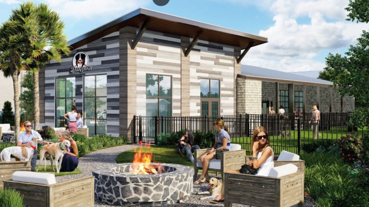 Perros y cerveza: El nuevo bar y parque para mascotas que inaugurarán en Orlando