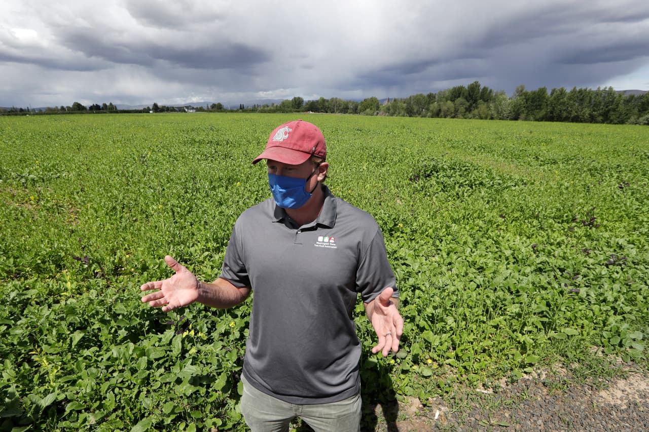 A Sean Gilbert le preocupa la amenaza que el coronavirus representa para los frutales que su familia administra desde hace un siglo. Invirtió 22,000 dólares para comprar en China 16,000 tapabocas para sus empleados, quienes mantienen distancia en el trabajo. 
<br>