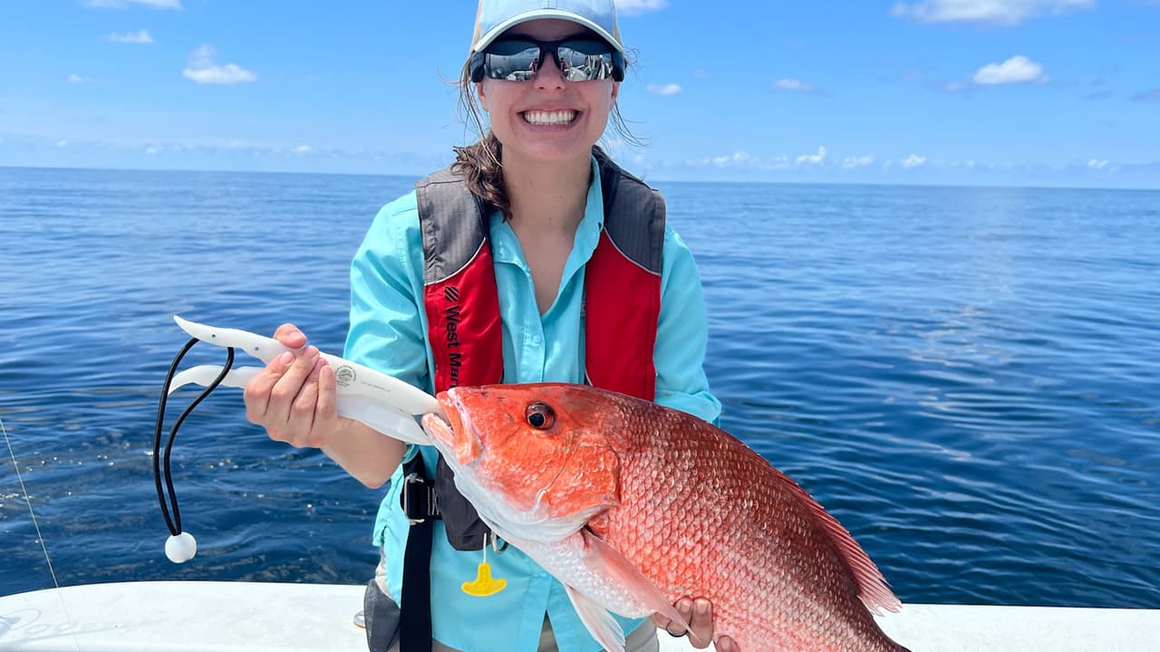 Así mismo, en Florida, del 1 al 7 de julio, será la ‘Freedom Week’, que tendrá a varios artículos que sueles comprar para irte de vacaciones libres de impuestos. Mira aquí los detalles. 
<br>