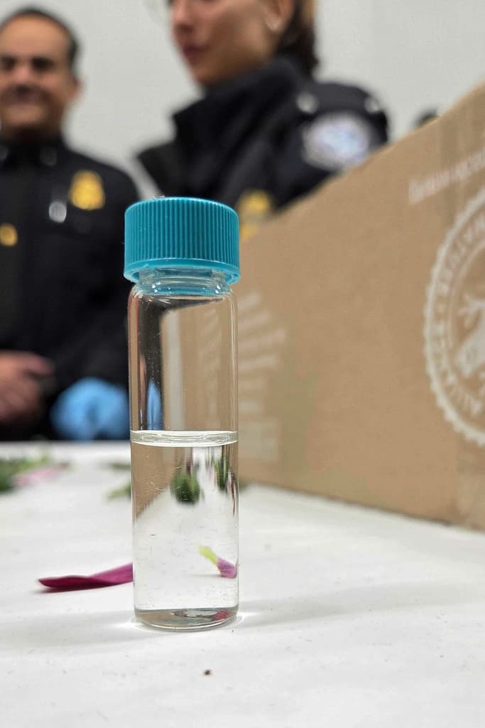 <b>Factores que impactan los precios al consumidor. </b>Los consumidores podrían enfrentar precios más altos en los ramos de San Valentín este año debido a 
<b>aranceles aplicados a las importaciones de Colombia y Ecuador </b>y al 
<b>nuevo salario mínimo en Colombia</b>, lo que agrega costos significativos al transporte y comercialización de las flores que se regalan en Estados Unidos.