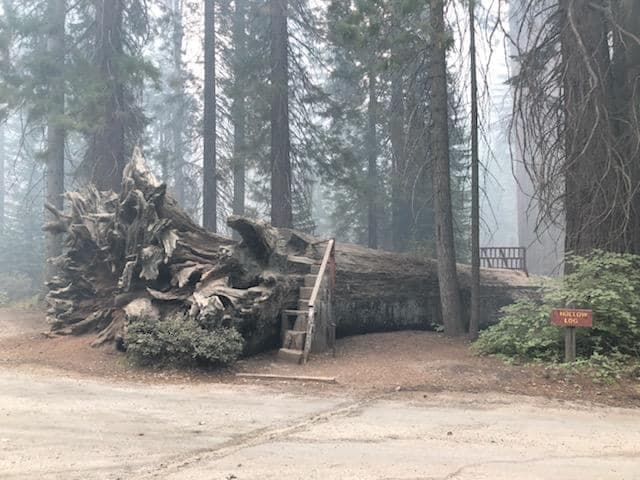 De hecho, los televidentes que ven Unimás se verán afectados en la señal habitual a partir de la medianoche del miércoles. Pueden sintonizar el canal 21.6 para no perderse la programación.