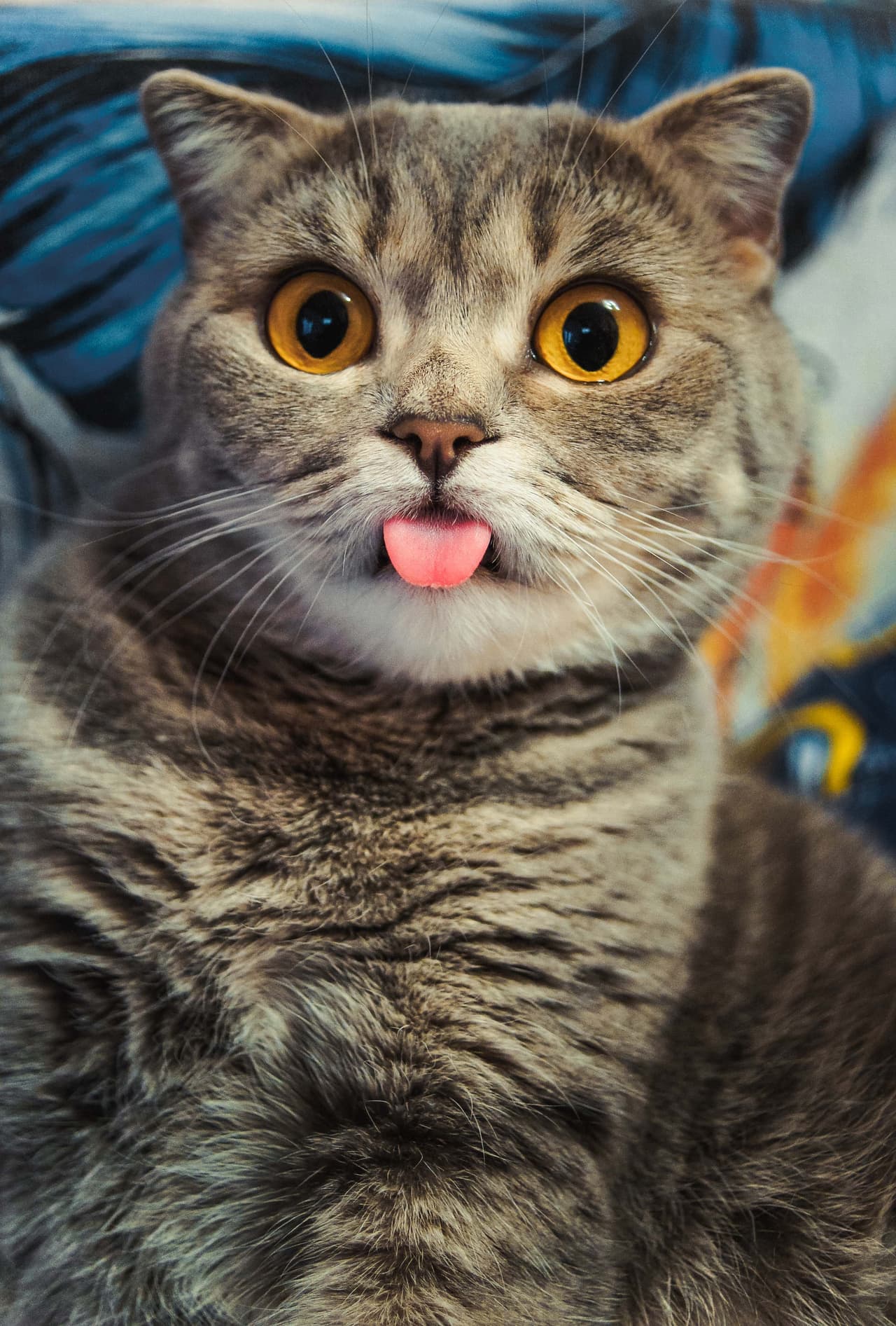 Su nombre es Melissa y tiene cinco años.