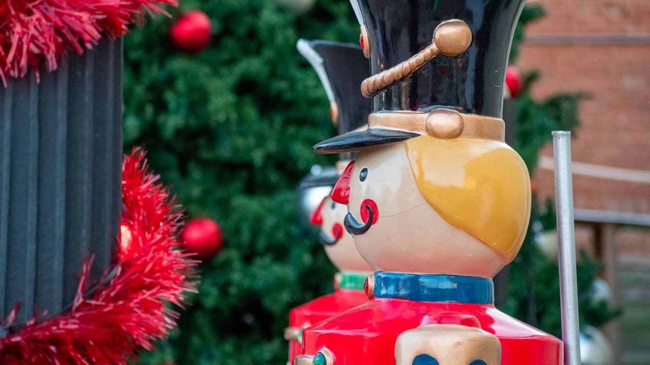 Disfruta de la magia de la “Fiesta Navideña en Cedar Hill”. Únete a la celebración el 
<b>7 de diciembre de 5:30 a 8:30 p.m</b>. en el centro histórico, donde podrás presenciar el encendido oficial del árbol. Participa en actividades emocionantes como 
<b>juegos, entretenimiento en vivo y fotos con Santa</b>. Además, aprovecha la oportunidad para explorar el mercado navideño y hacer tus compras navideñas. ¡Un evento al aire libre lleno de alegría y espíritu navideño para toda la familia! 📍 
<a href="https://maps.app.goo.gl/a9WEv5JAfjtoQ1D76" target="_blank">600 Cedar St., Cedar Hill </a>