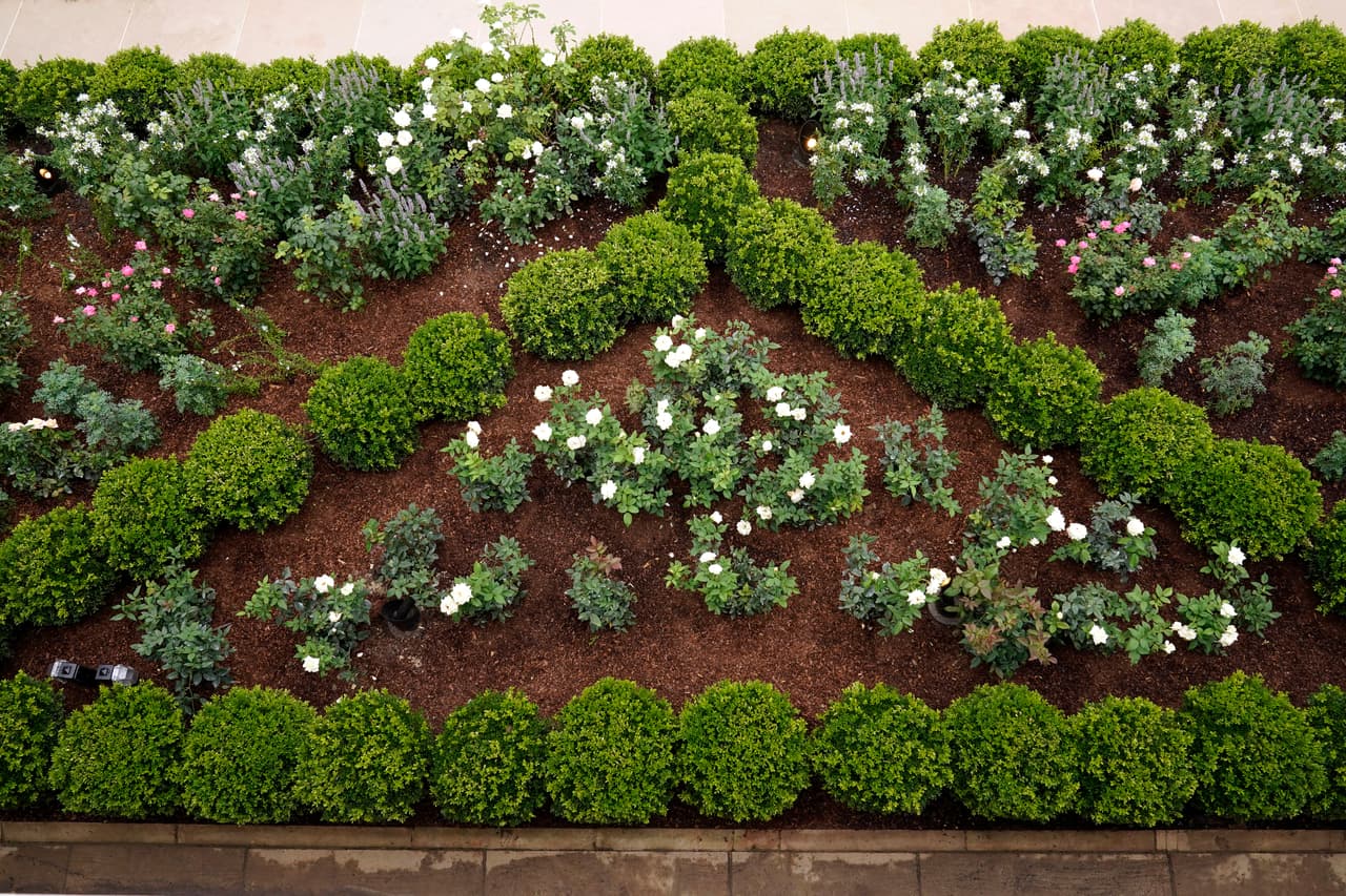 La remodelación fue anunciada a finales de julio. La esposa del mandatario mostró en esa ocasión los detalles del plan para, dijo, “mejorar la Rosaleda de la Casa Blanca”, un icónico espacio al aire libre famoso por su proximidad a la Oficina Oval.
