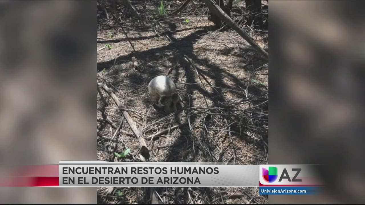 Organización humanitaria encuentra restos en el desierto de Arizona de quienes podrían ser tres inmigrantes 
