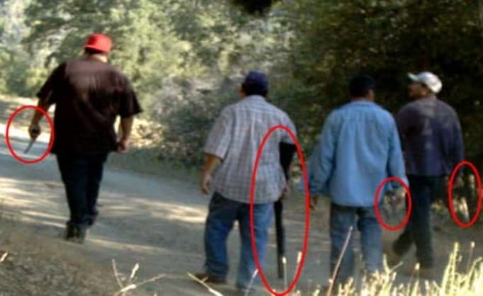 Cuatro presuntos sembradores ilegales de marihuana caminan armados en un sendero del condado de Fresno, California.