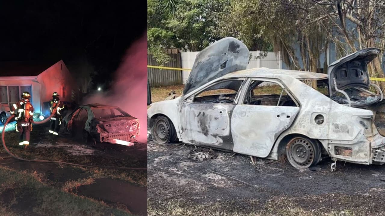16 autos robados y 2 incendiados en una semana reportan autoridades de North Port 
