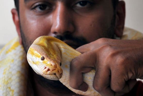 Los concursantes deben completar un cuestionario, lo que también ayudará a conocer mejor qué comen, dónde se ocultan y cuáles son sus hábitos