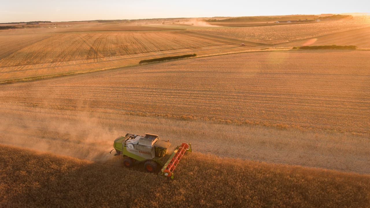 Una de las actividades que más transforma la faz de la Tierra es la agricultura. Un análisis de imágenes satelitales hecho por la Universidad de Wisconsin-Madison asegura que el 40% de la superficie de la Tierra está cubierto por cultivos agrícolas. Además, según la FAO, la agricultura es responsable de casi la mitad de las emisiones de metano globales. Aunque persiste en la atmósfera durante un tiempo más corto, el metano es aproximadamente 20 veces más potente que el dióxido de carbono en su acción de calentamiento global. La fotografía de julio de 2017 muestra a una máquina cosechadora trabajando en los campos de Monthodon, en el centro de Francia.