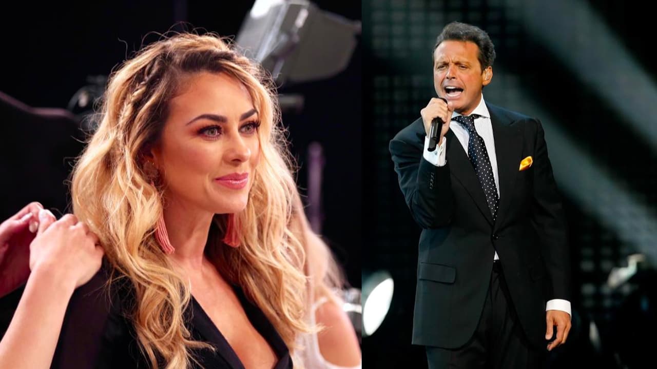 Aracely Arámbula sigue enojada con Luis Miguel: así habló del padre de sus hijos