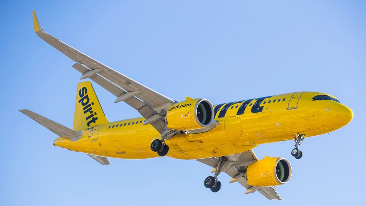 <h3 class="cms-H3-H3">Qué hacer ahora si tenías un vuelo</h3> ✈️ Revisa tu correo y el estado de tu reserva 
<br>✈️ Guarda confirmaciones, recibos y avisos de cancelación 
<br>✈️ Solicita el reembolso si no lo has recibido 
<br>✈️ No vayas al aeropuerto sin un nuevo boleto confirmado 
<br>✈️ Compara opciones antes de comprar con otra aerolínea 
<br>El Departamento de Transporte de Estados Unidos indica que 
<b>tienes derecho a reembolso completo si la aerolínea cancela el vuelo.</b>