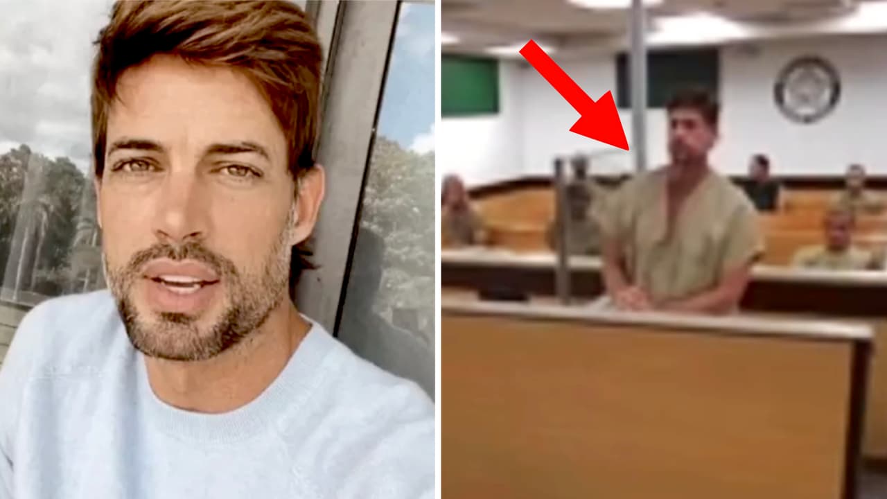 Las imágenes de William Levy esposado en la corte: se habría resistido al arresto