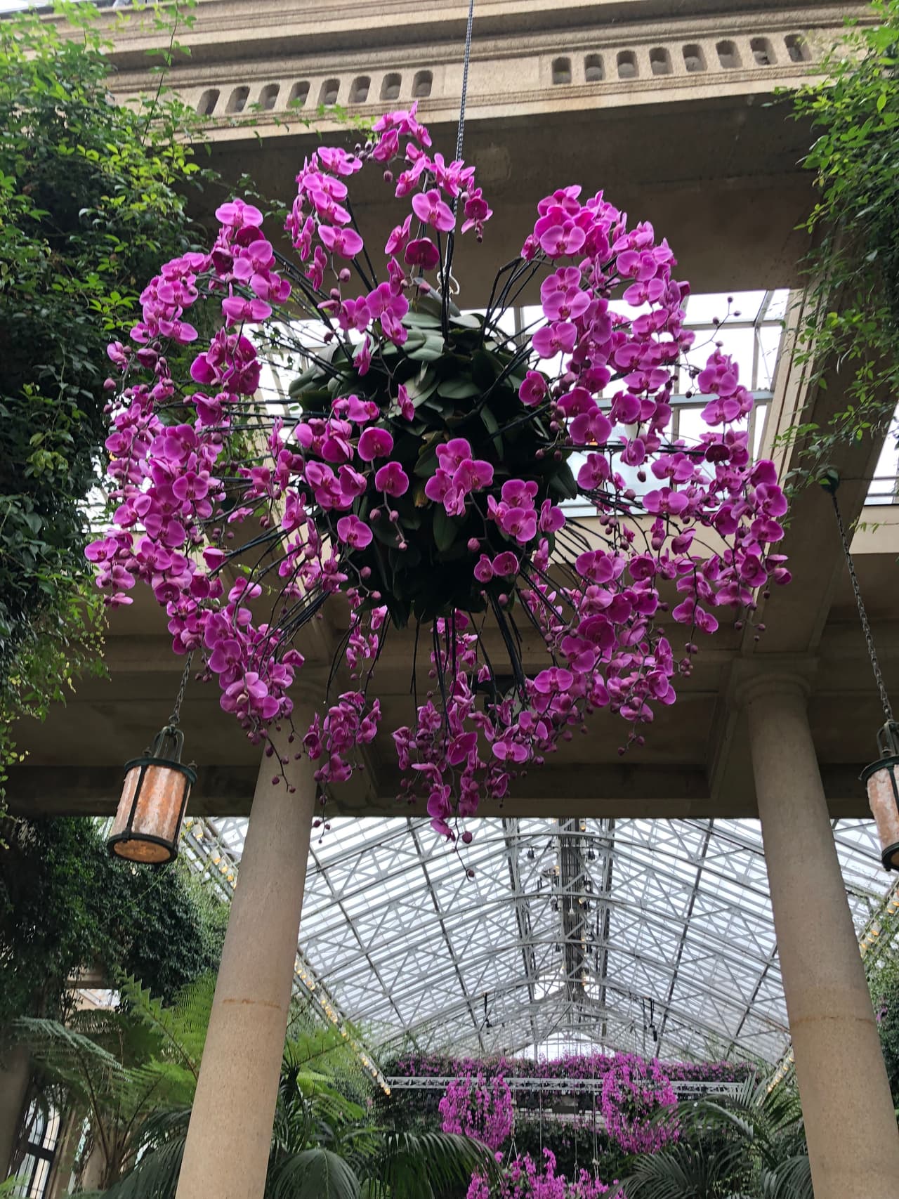 Cestas vívidas, columnas, orbes y formas más fantasiosas elevan nuestro mundo interior de fantasía y calidez al entrar al auditorio.
