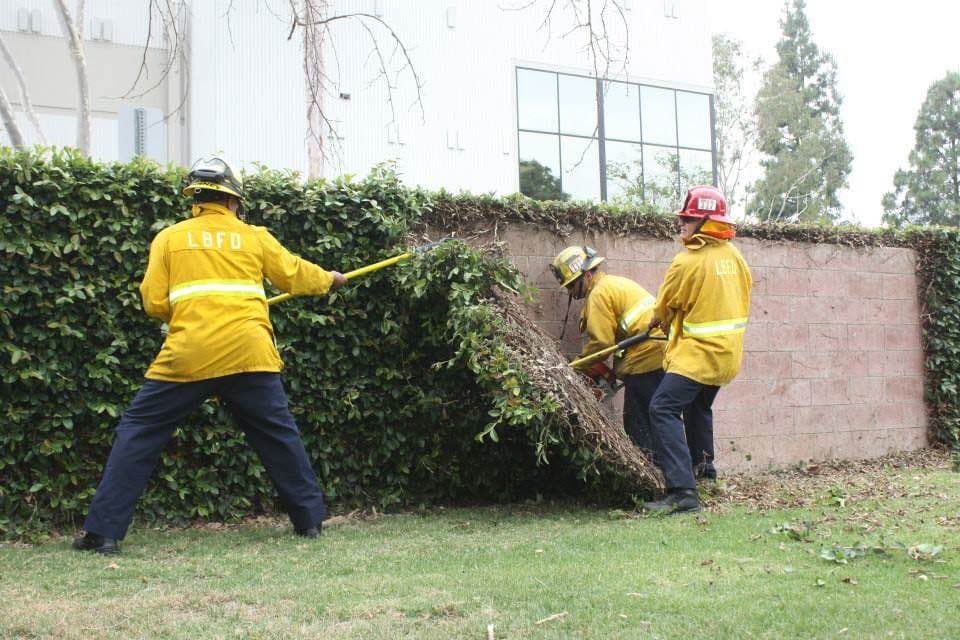 La organización busca fondos para la construcción del monumento.
