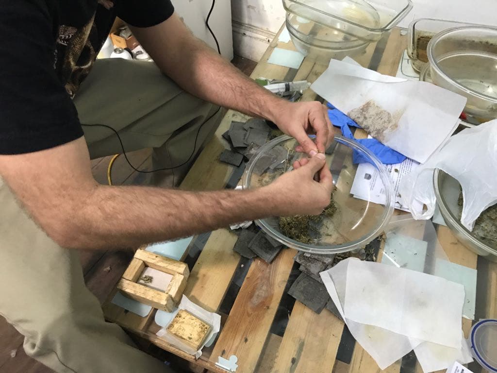 La lucha detrás de la legalización del uso medicinal de la marihuana en Perú