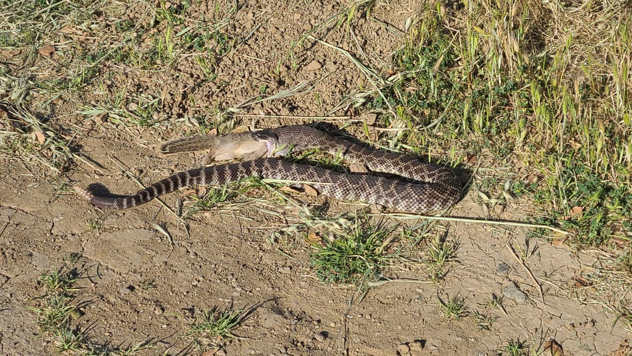 El hecho fue captado el domingo 2 de mayo a las 6:00 p.m. en un lugar altamente transitado por personas que van al parque.